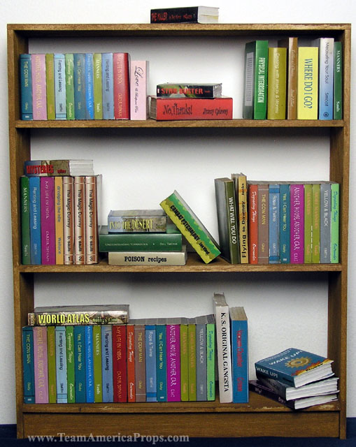 Epica Seif Al Din Bookshelf With Books